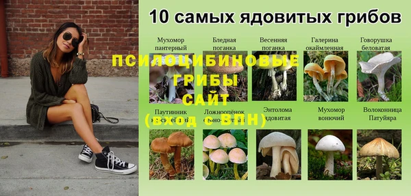 экстази Алексеевка